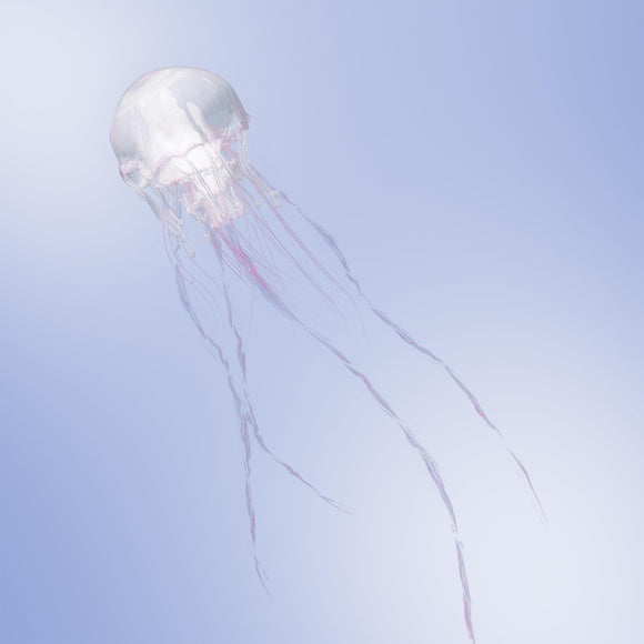 LUMINOUS Limited Edition A CD+Blu-ray by SCANDAL