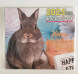 Everyone's Rabbit HAPPY CALENDAR2025 [Calendar] Japanese